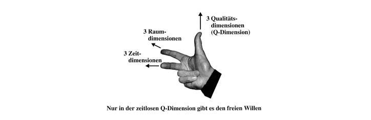 Zur Wissenschaftstheorie der neuen Homöopathie (V)